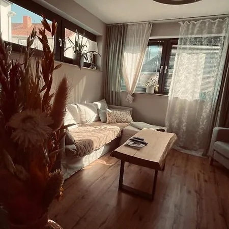 Zone 3 - Cozy & Modernes In Διαμέρισμα Ερφούρτη