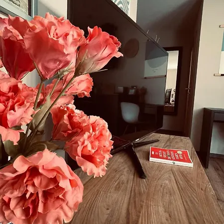 Zone 3 - Cozy & Modernes In * Erfurt